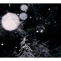OVER THE VOIDS - Over The Voids  Digipack CD